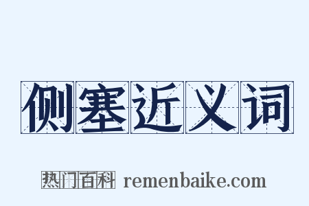 侧塞近义词是什么意思的图片